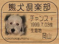 �I�[�i�[�́A�`�����X�}�}����ł���